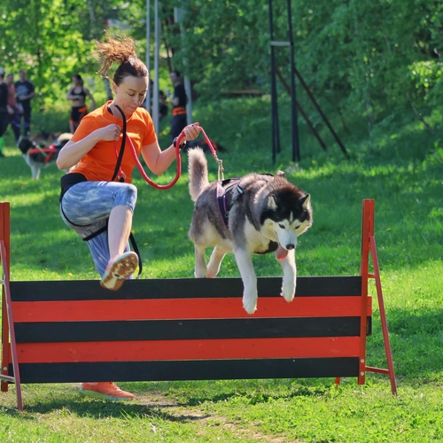 Photo #13843470