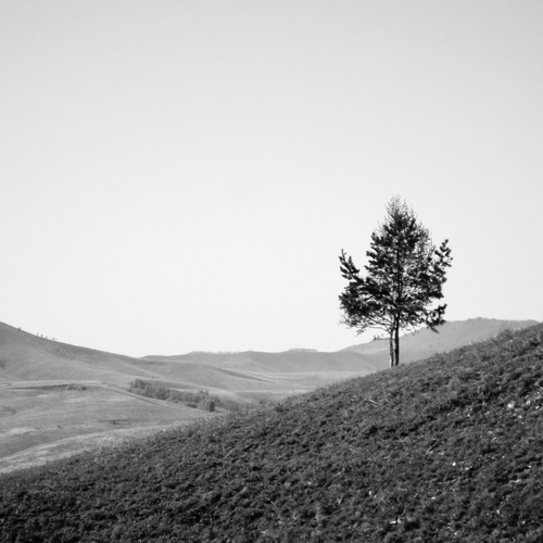 Photo #13843576