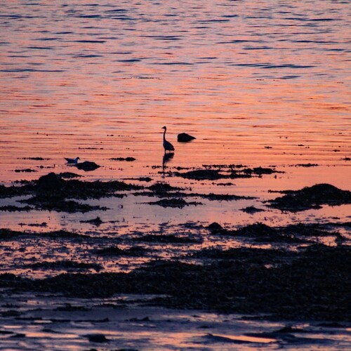 Photo #13843597