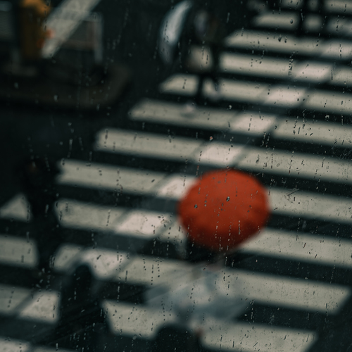 Photo #13843659