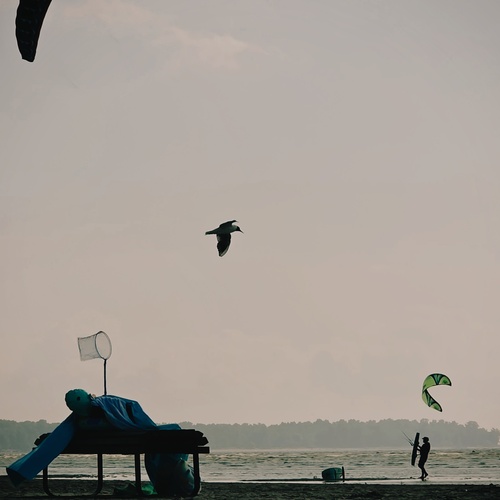 Photo #13843689