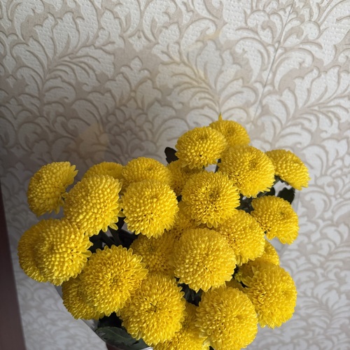 Photo #13843762