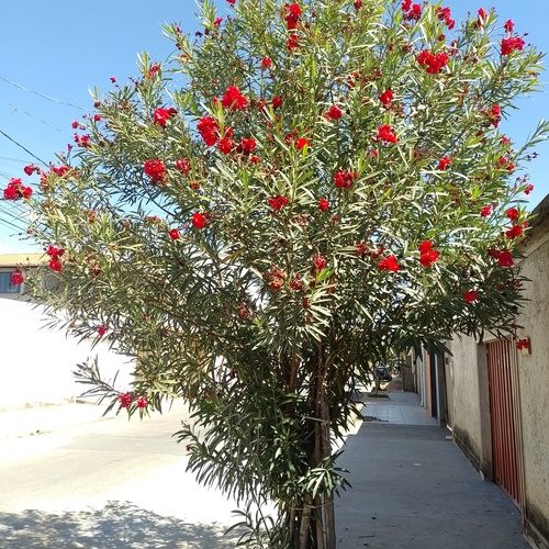 Photo #13843777