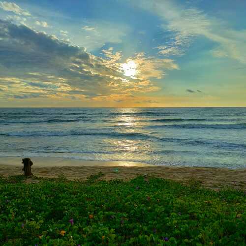 A beautiful sunset
