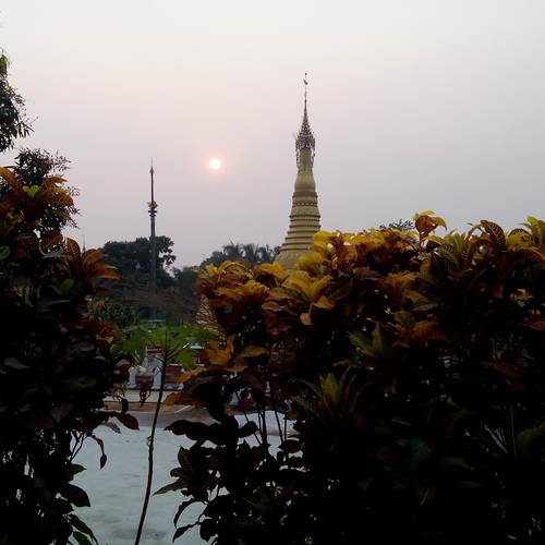 Photo #13843836