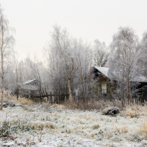 Photo #13843946