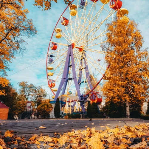 Фотография #13843988