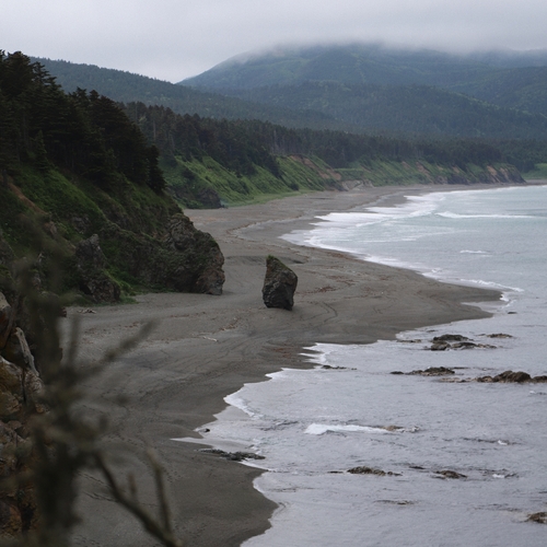 Photo #13844120