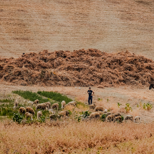 Photo #13844201