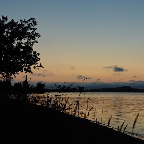 Photo #13844248