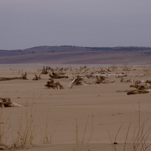 Photo #13844252