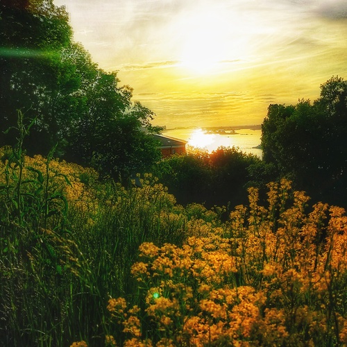 Photo #13844254