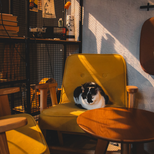 Photo #13844324