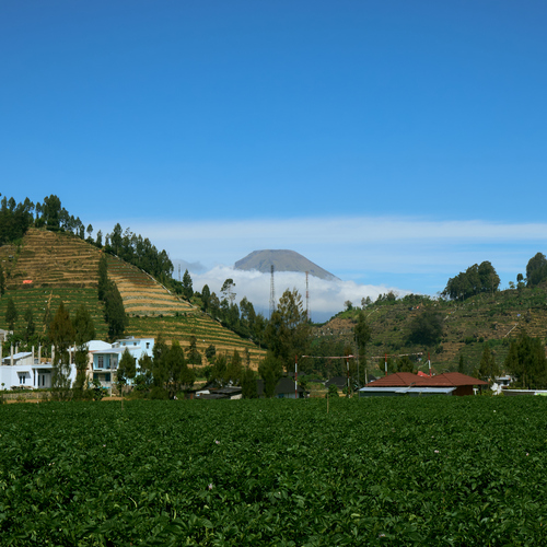 Photo #13844396
