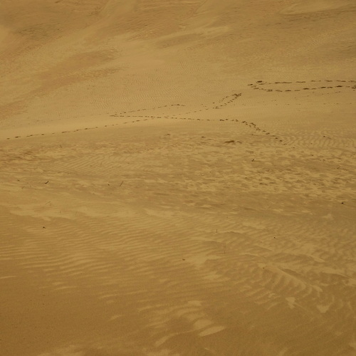 Photo #13844477
