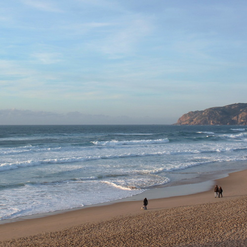 Photo #13844508