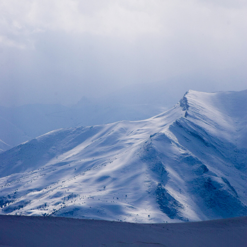 Photo #13844515