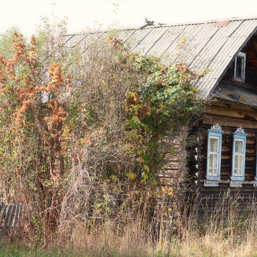 Photo #13844584