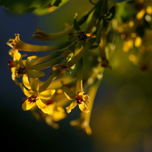 Photo #13844610