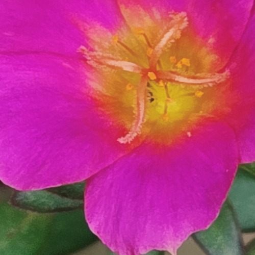 Photo #13844668