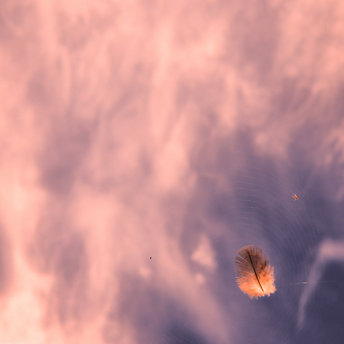 Photo #13844677