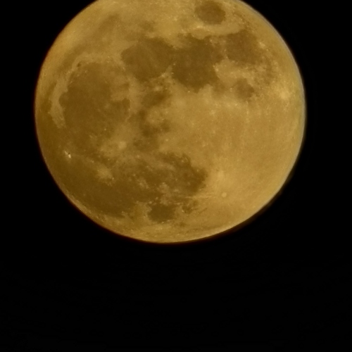 Photo #13844690
