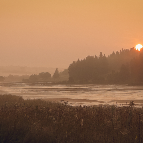 Photo #13844866