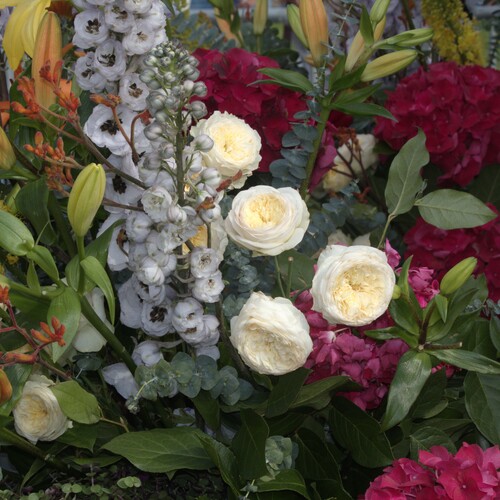 Photo #13844887