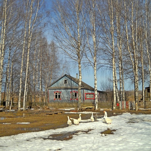 Photo #13844909