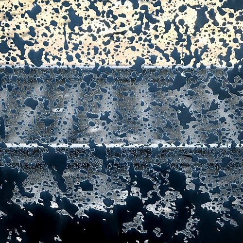 Photo #13845009