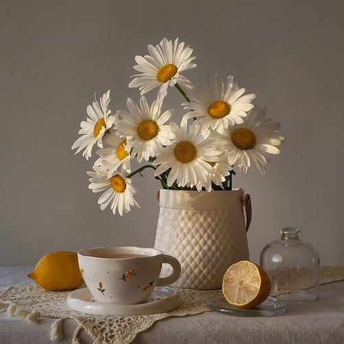 Photo #13845027