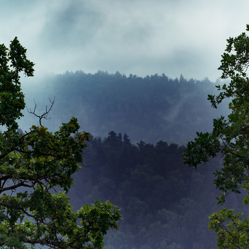 Photo #13845085
