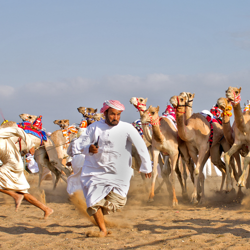 Majid Al Amri