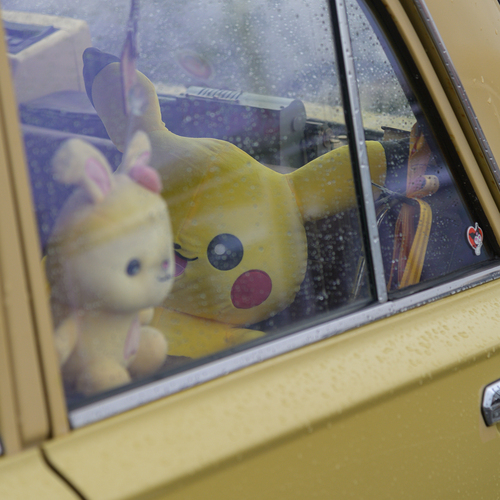 Photo #13845149