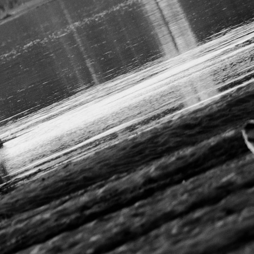 Photo #13845169