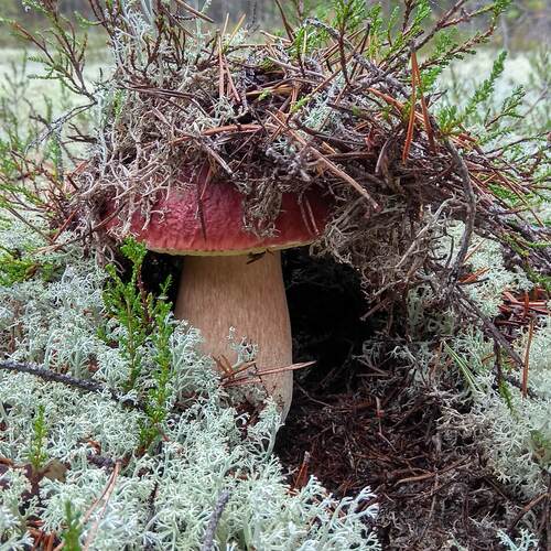 Photo #13845233