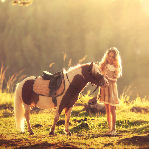 Photo #13845265
