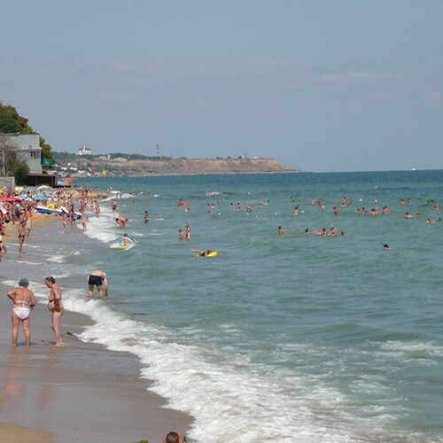 Photo #13845282