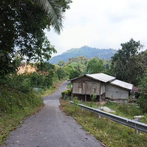 Photo #13845313