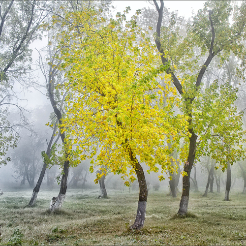 Photo #13845349