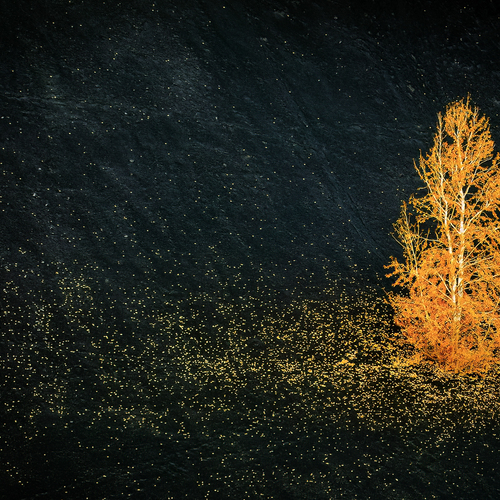 Photo #13845354