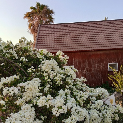 Photo #13845503