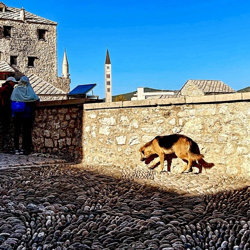 Photo #13845577