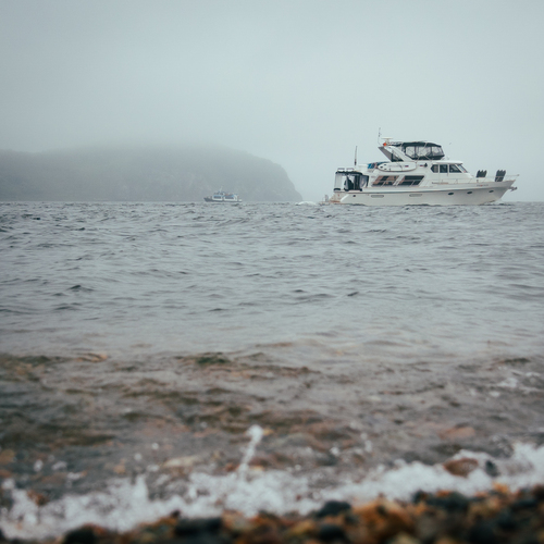 Photo #13845578