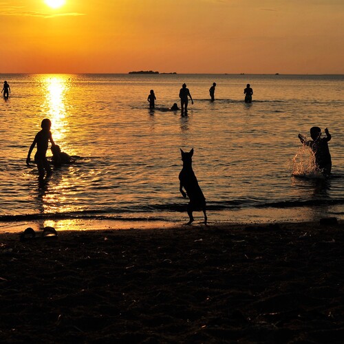 Photo #13845584