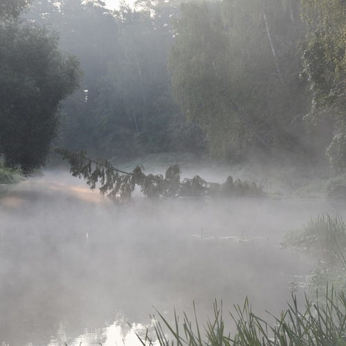Photo #13845631