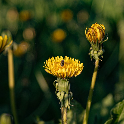 Photo #13845642