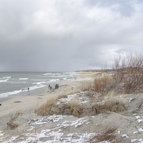 Photo #13845652