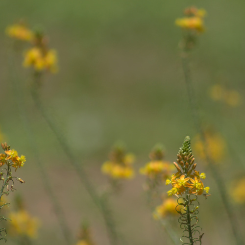 Photo #13845677