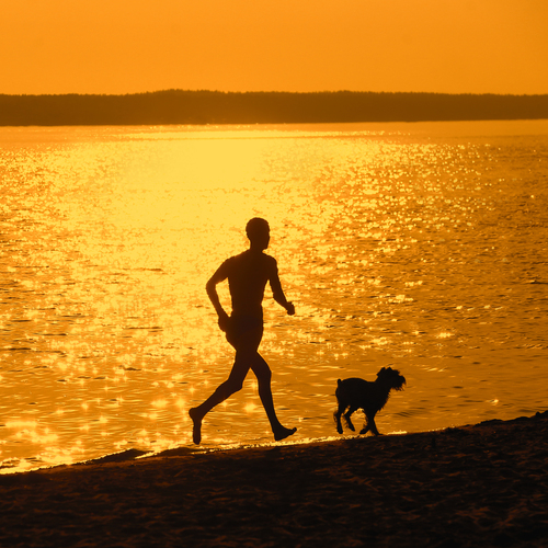 Photo #13845736